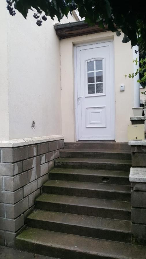 Grand Appartement Avec Terrasse & Jardin A 5 Minutes De Paris 卡尚 外观 照片
